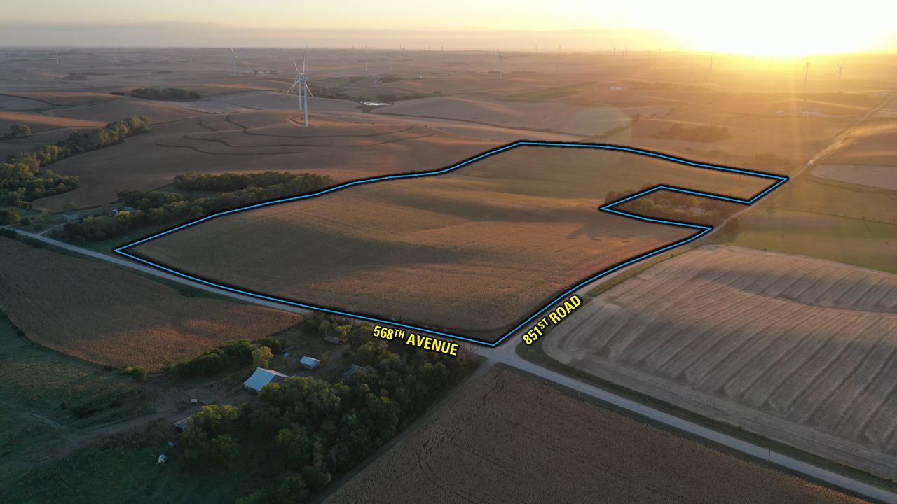 Listing Photo: Drone Edit 1